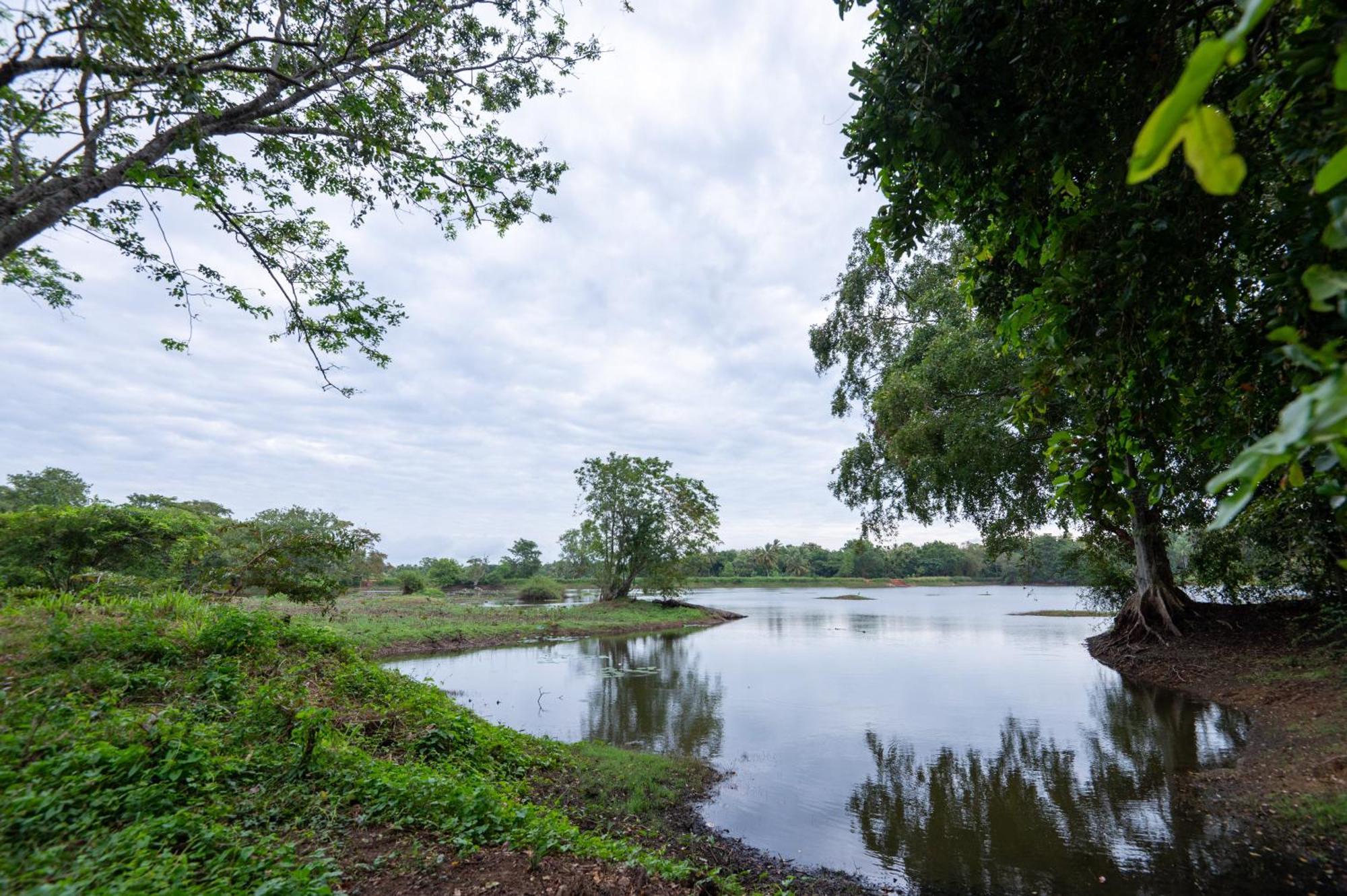 Ayurvedic Lanka Wellness Hotel Moragaswewa ภายนอก รูปภาพ