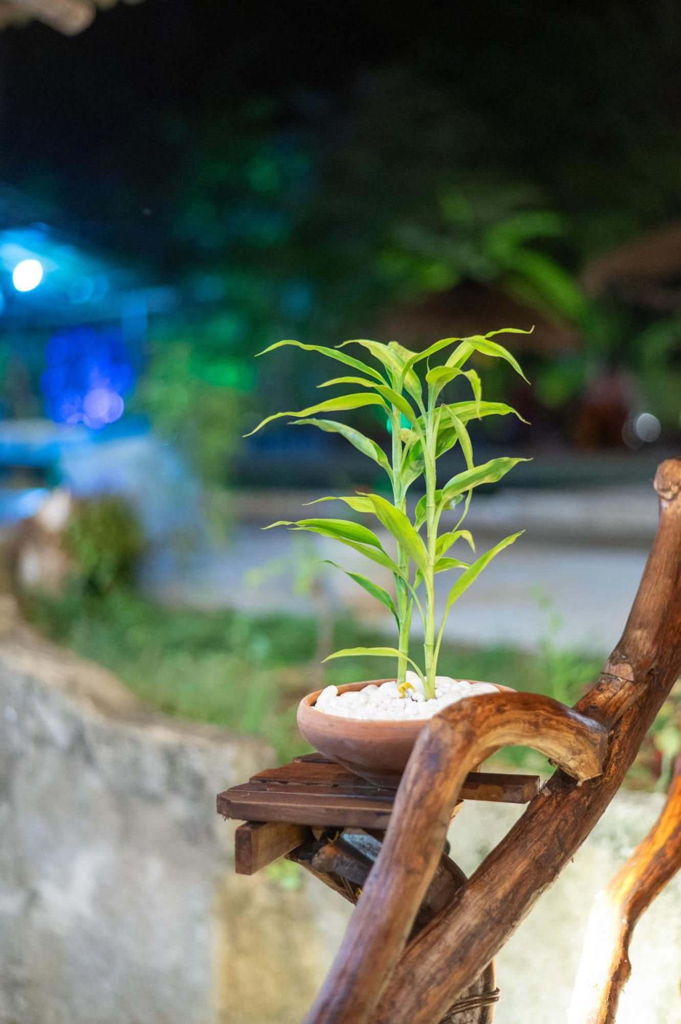 Ayurvedic Lanka Wellness Hotel Moragaswewa ภายนอก รูปภาพ