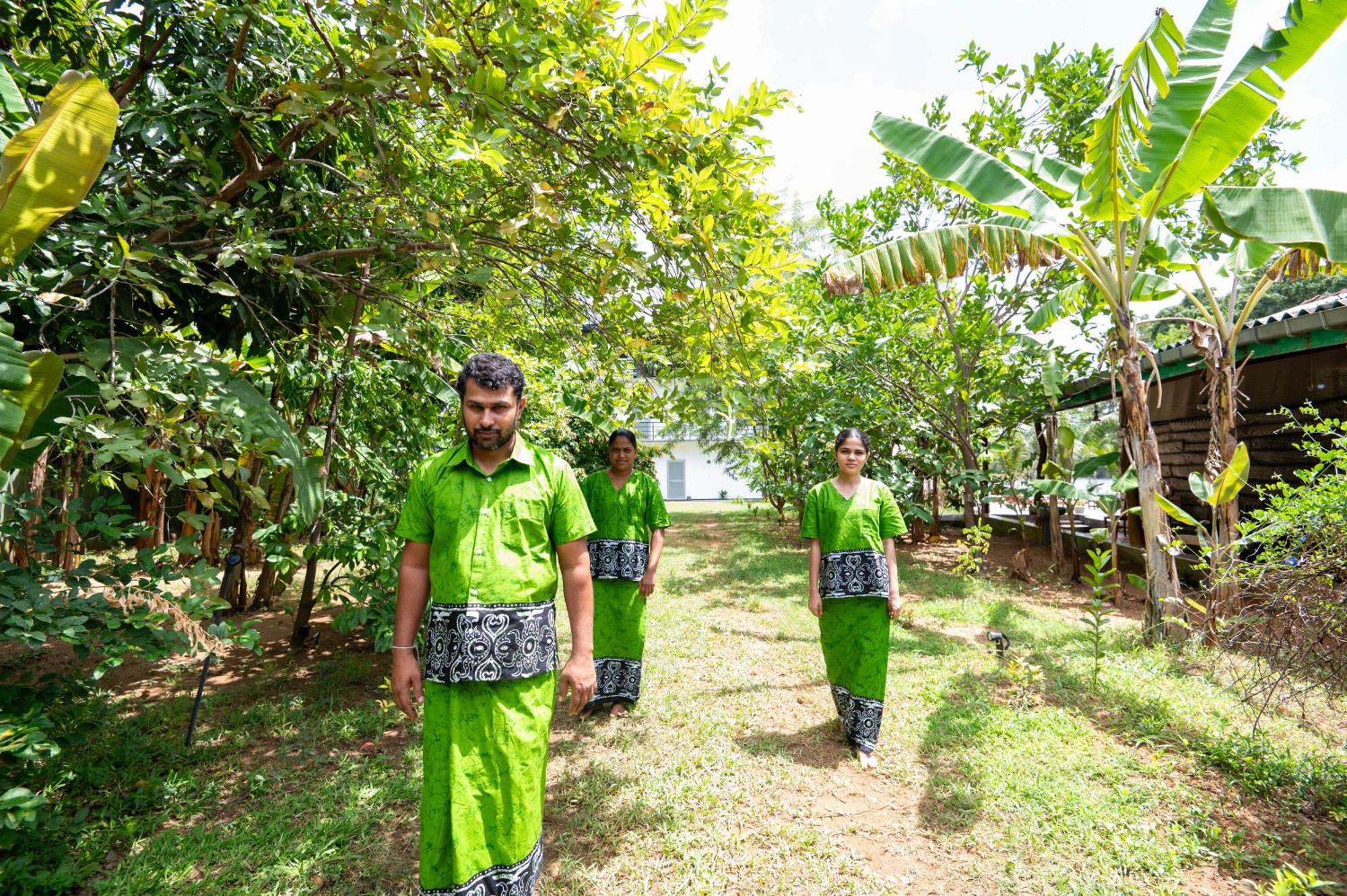 Ayurvedic Lanka Wellness Hotel Moragaswewa ภายนอก รูปภาพ