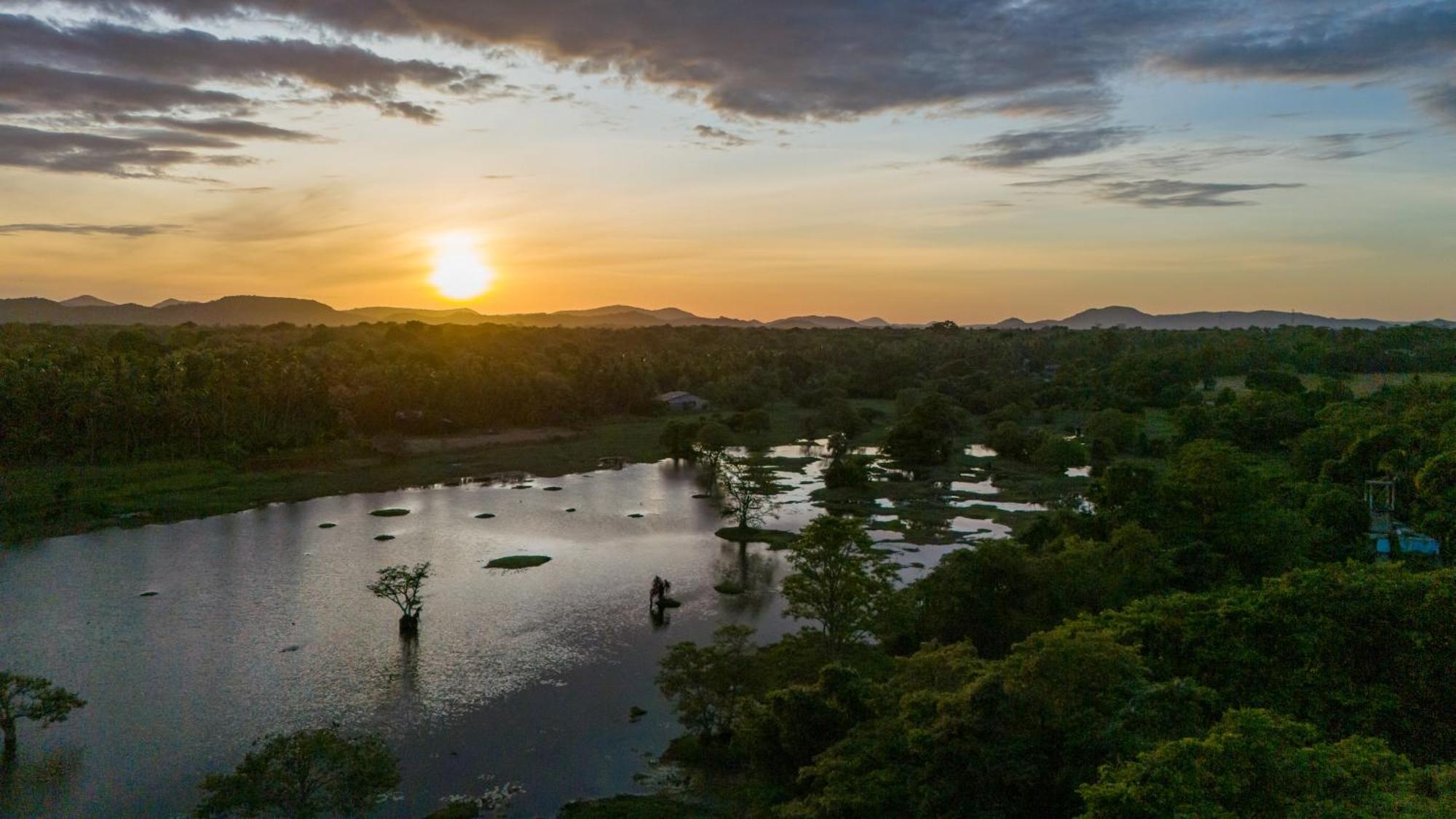 Ayurvedic Lanka Wellness Hotel Moragaswewa ภายนอก รูปภาพ